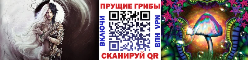 Псилоцибиновые грибы Cubensis  Ясногорск 